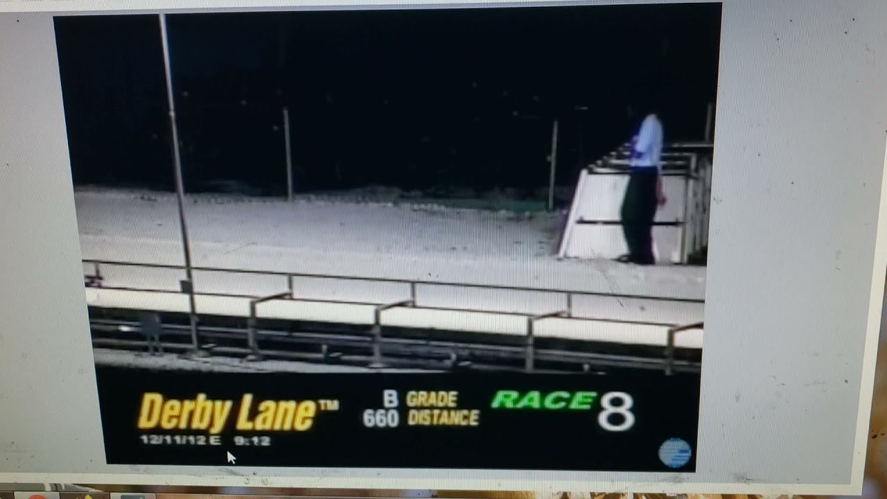 Greyhound Racing  Derbylane  Keeper wedgewood
