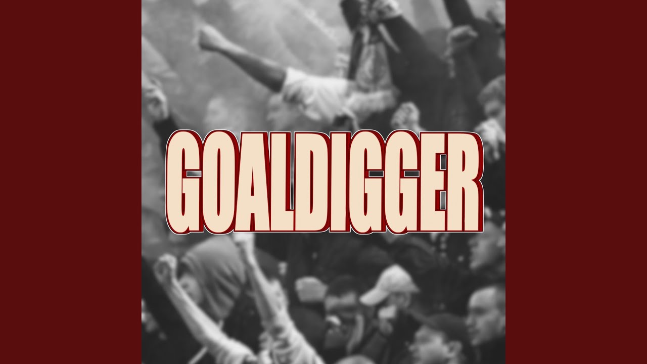 Goaldigger 2027