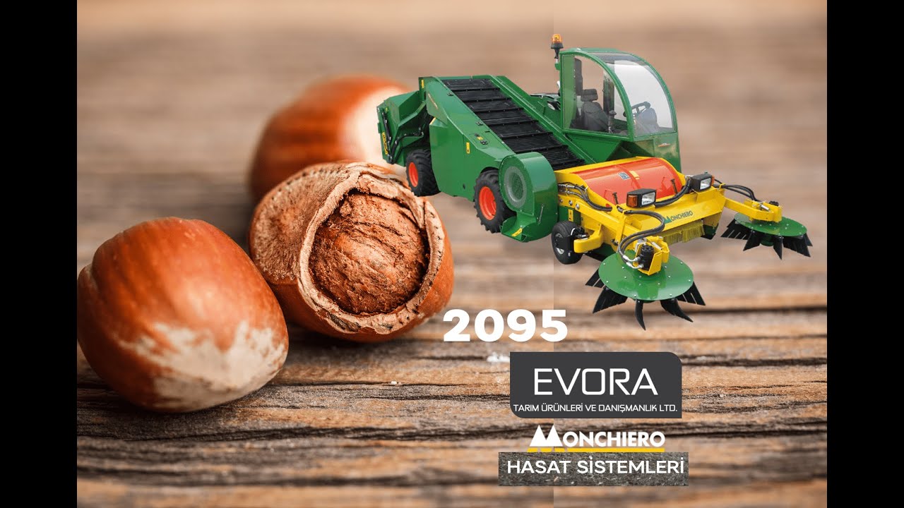 Monchiero Fındık Hasatı Monchiero Fındık Hasatı 2095