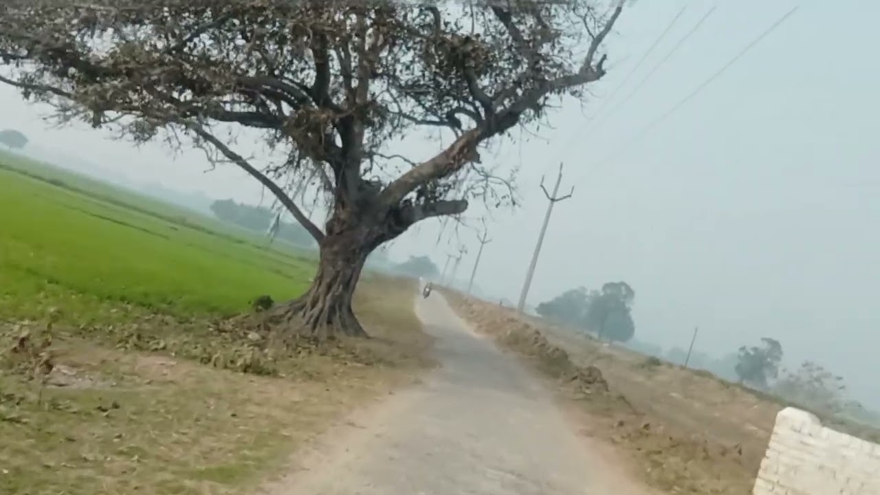 26 January For the first time I lost my way in the village 🤔😱 @MrBeast @souravjvlogs 