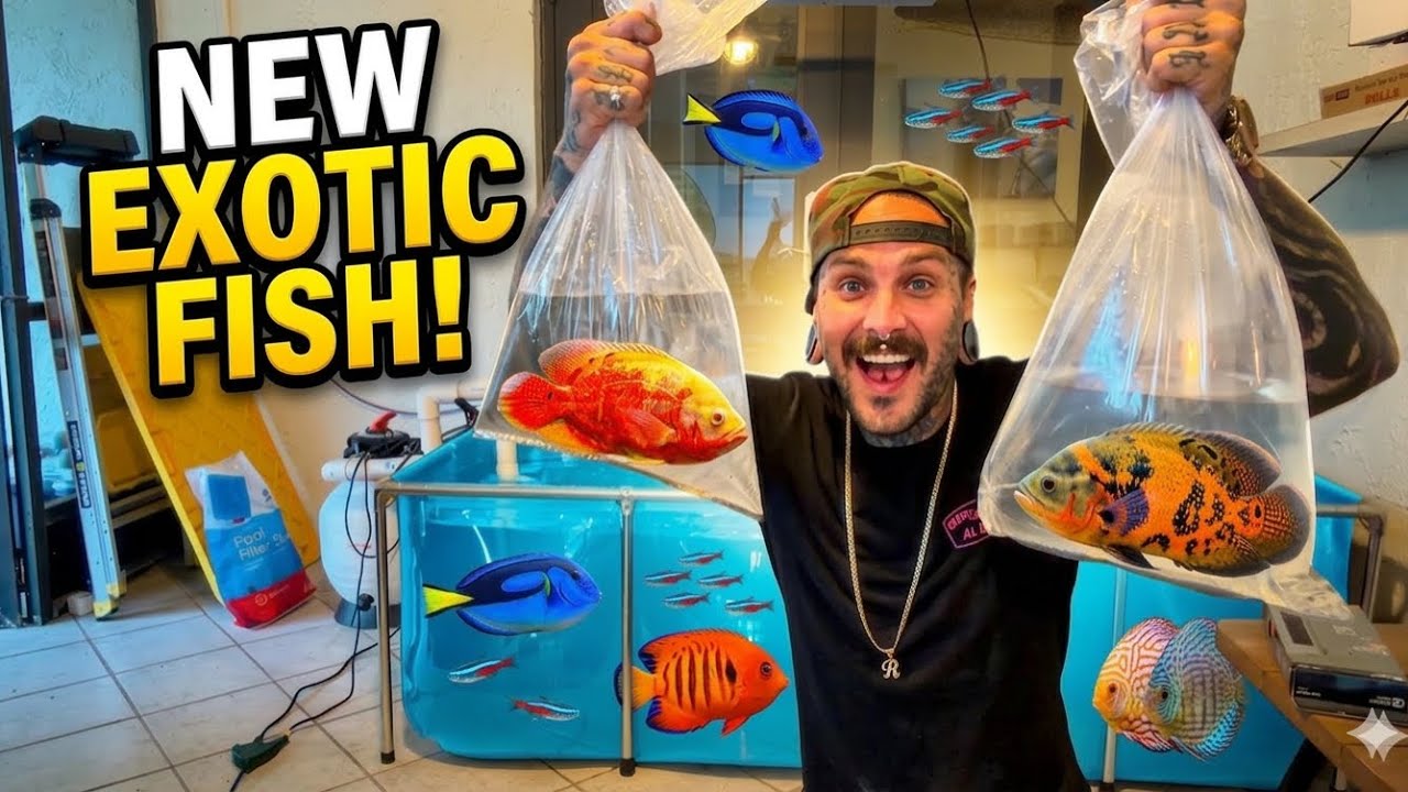 WE BOUGHT NEW FISH! 🐠 Fly River Turtle Pond Update