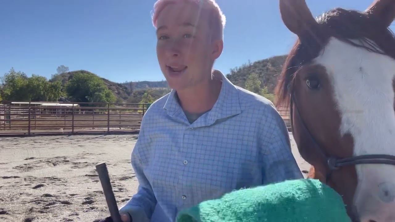 BLAZEY. Teach your horse to stop if you fall off.