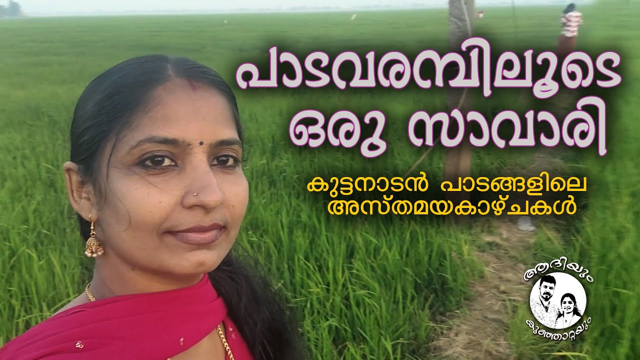 കുട്ടനാടൻ പാടവരമ്പിലൂടെ സന്ധ്യാ സവാരി 🌅🛶 | Kuttanad Sunset Views #video