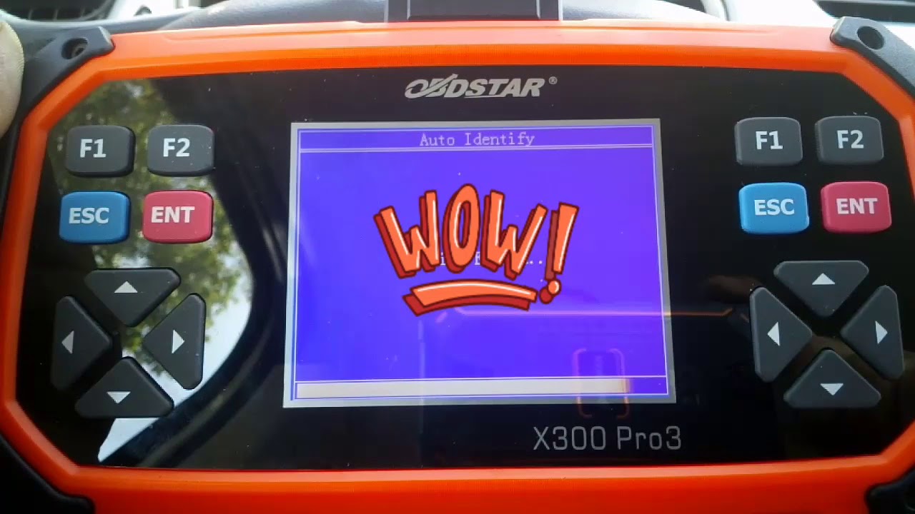 X300pro3 Citroen C3 2010 lost key