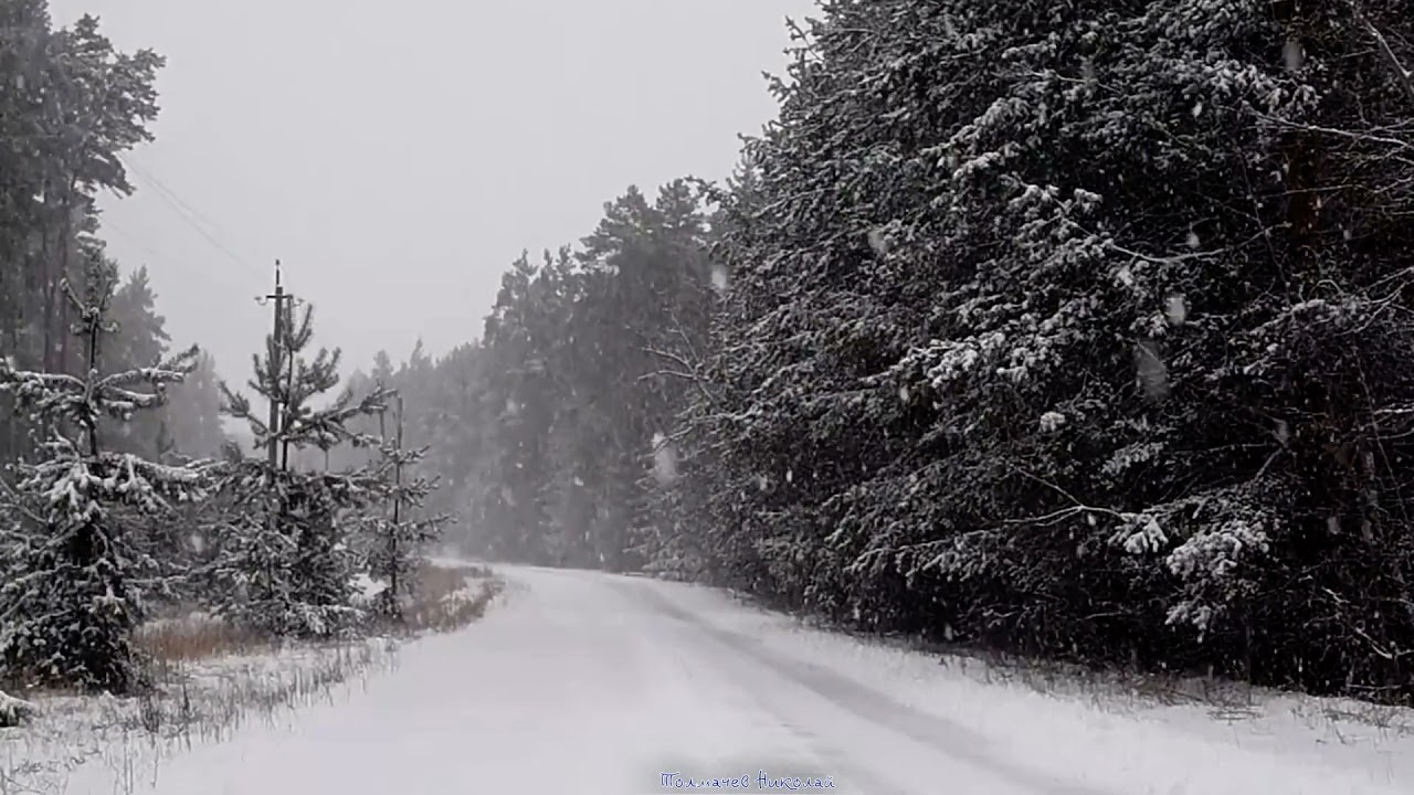 Снег летит и летит  ❄ 🌨 ❄ 🌨 ❄