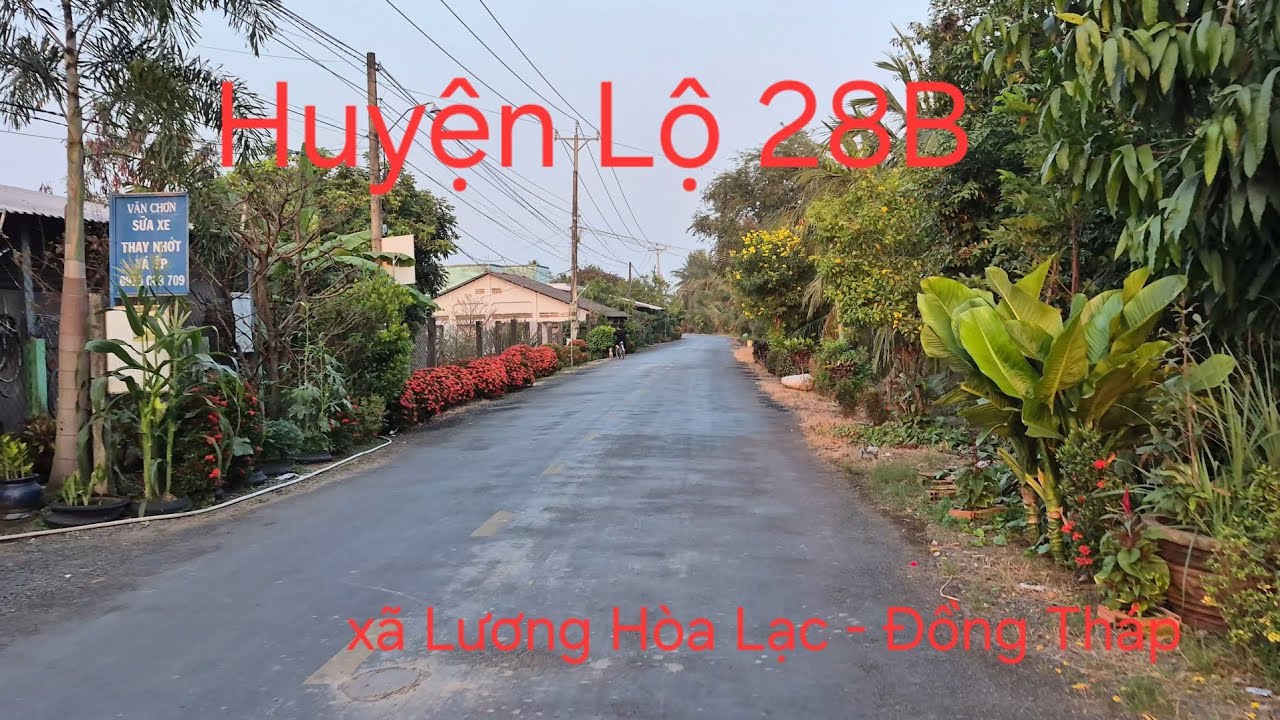 Đường Huyện Lộ 28B xã Lương Hòa Lạc tỉnh Đồng Tháp 