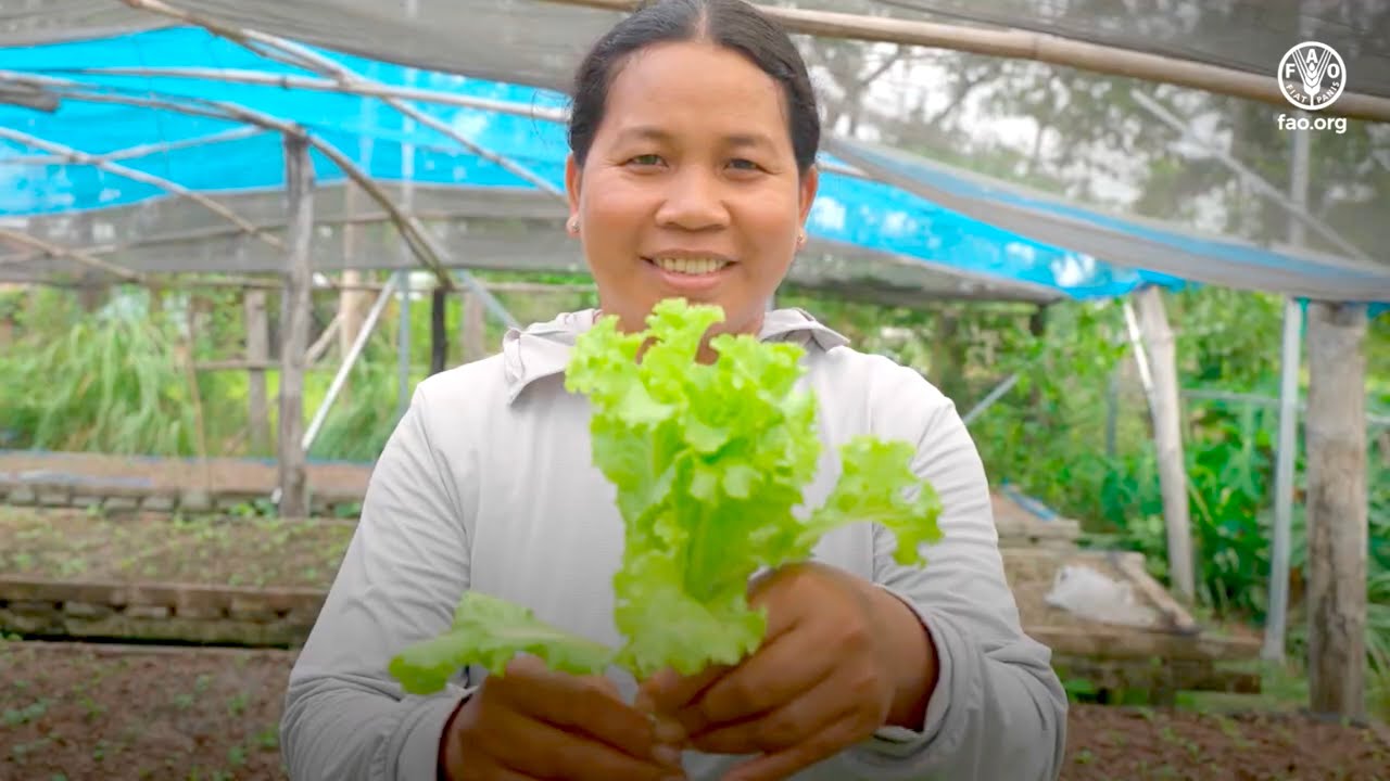 PEARL: Boosting resilience through climate information and market action