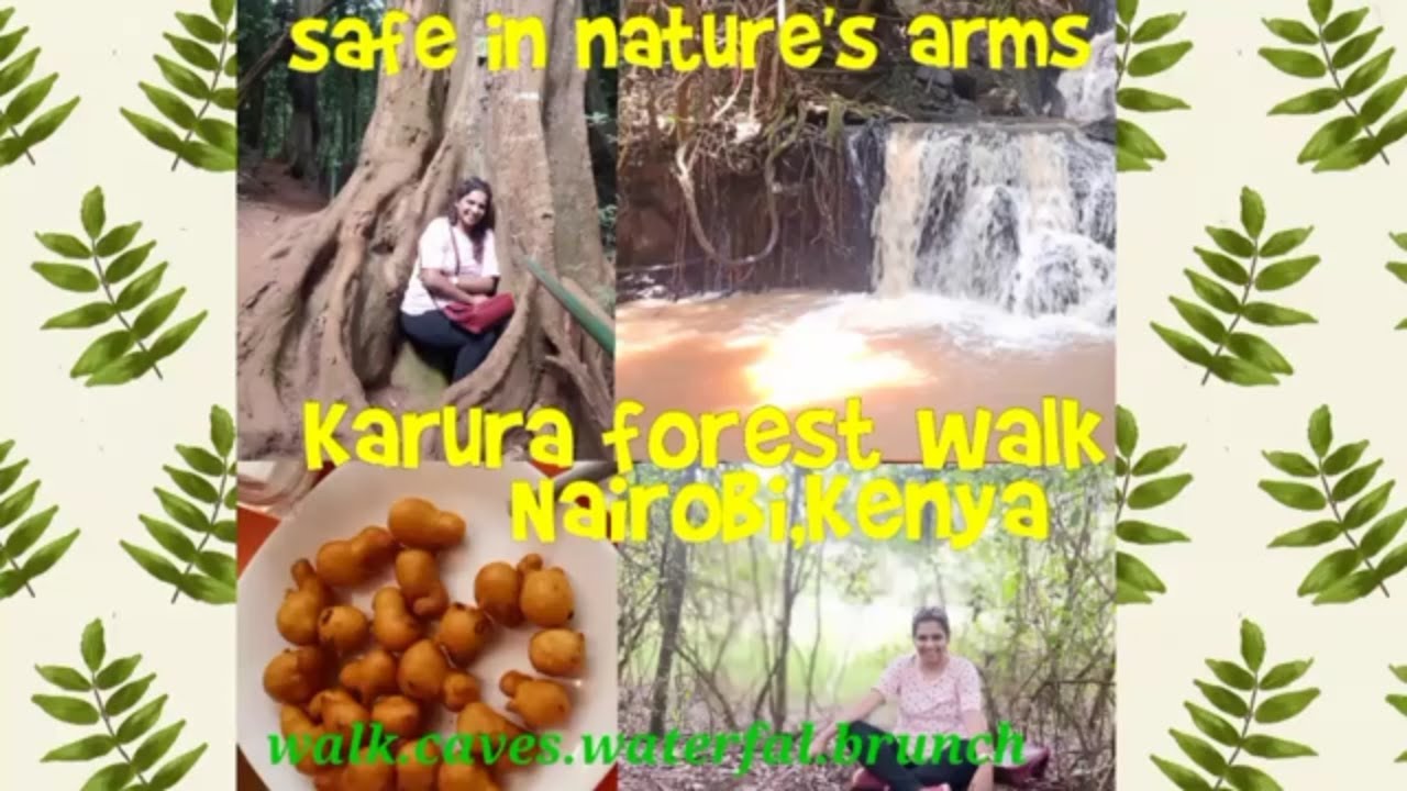 Karura forest vlog || Nairobi, kenya