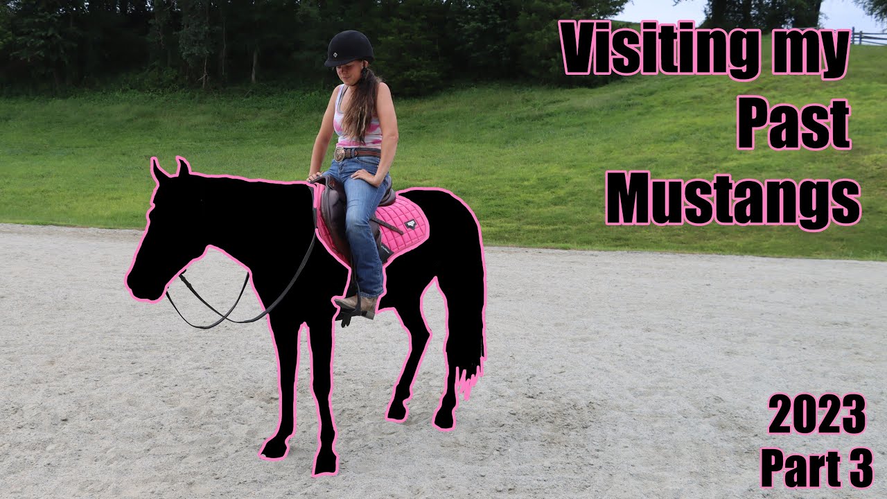 Visiting my Past Mustangs 2023 | Part 3