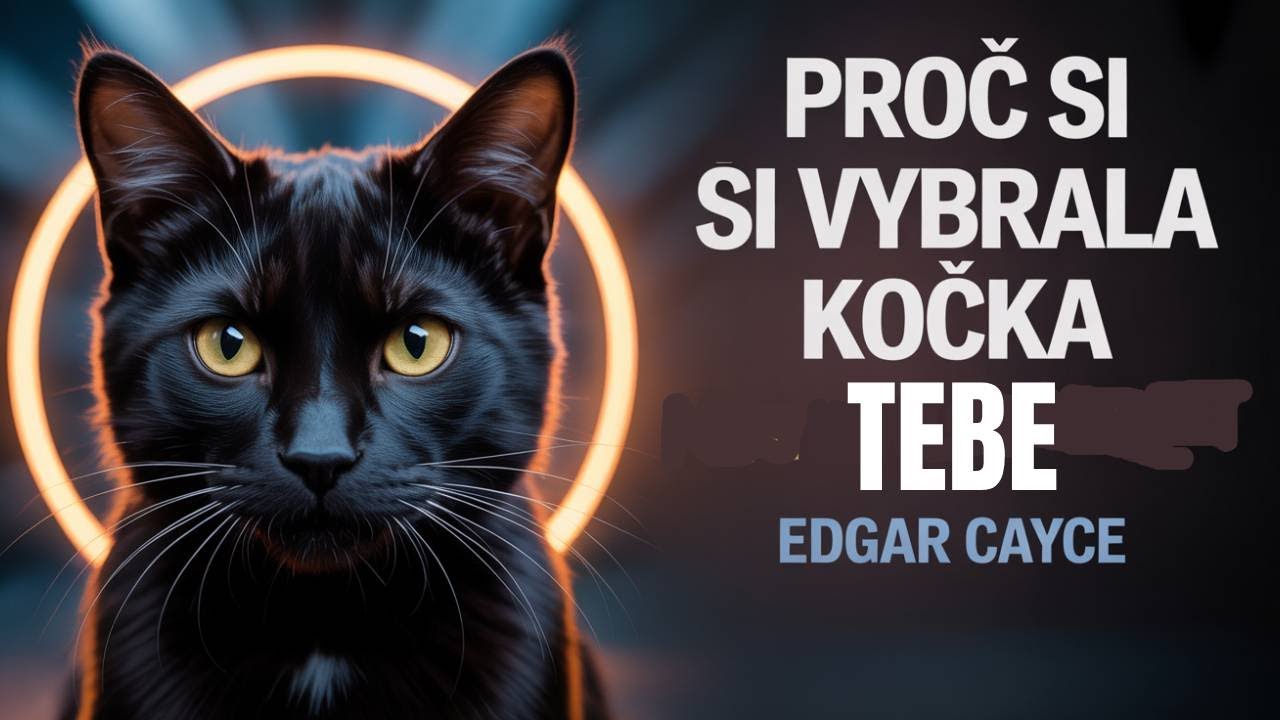 KDYŽ SI TĚ KOČKA VYBERE, UDĚLÁ TO Z NĚJAKÉHO DŮVODU – EDGAR CAYCE