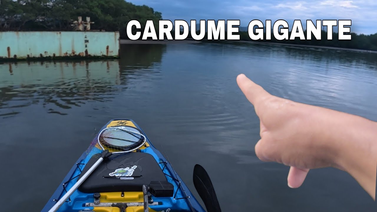 Impressionante - FOI UM ROBALO ATRÁS DO OUTRO 😱 - Inacreditável!!