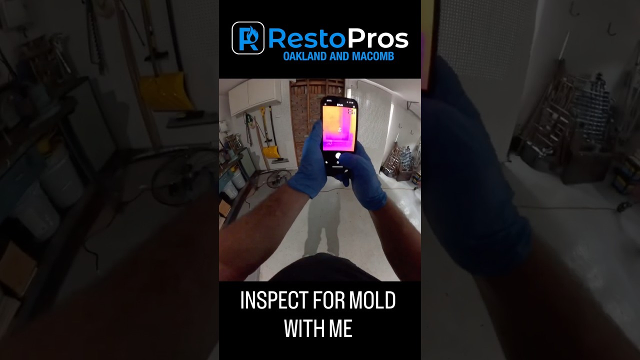 Join Me On A Mold Inspection | RestoPros of Oakland and Macomb #moldremediation #restopros
