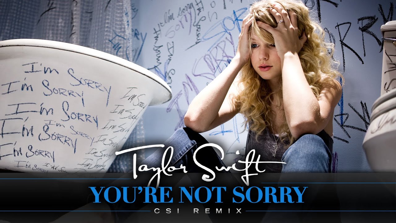 Taylor Swift - You're Not Sorry (CSI Remix / Audio)