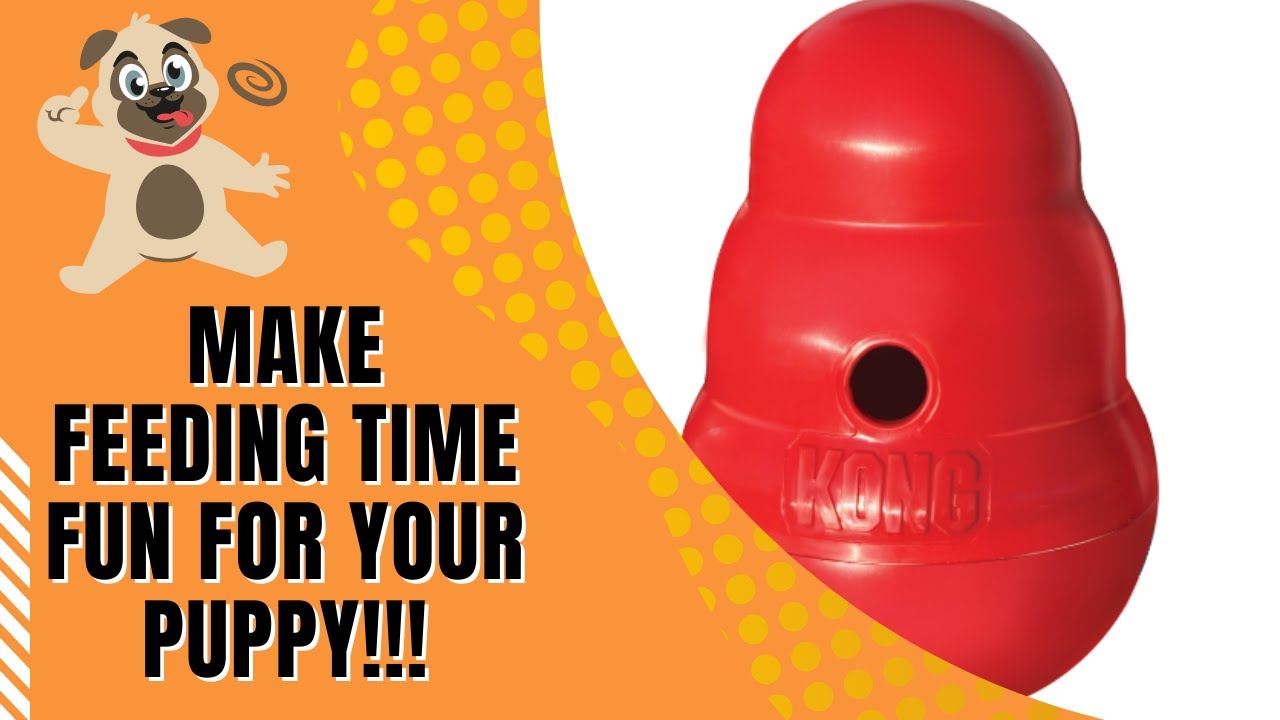 Dog Trainer Reviews: Kong Wobbler
