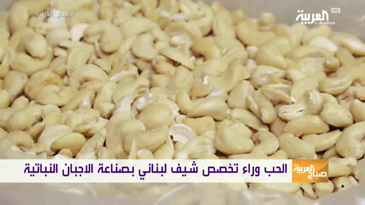 الحب وراء تخصص شيف لبناني بصناعة الأجبان النباتية