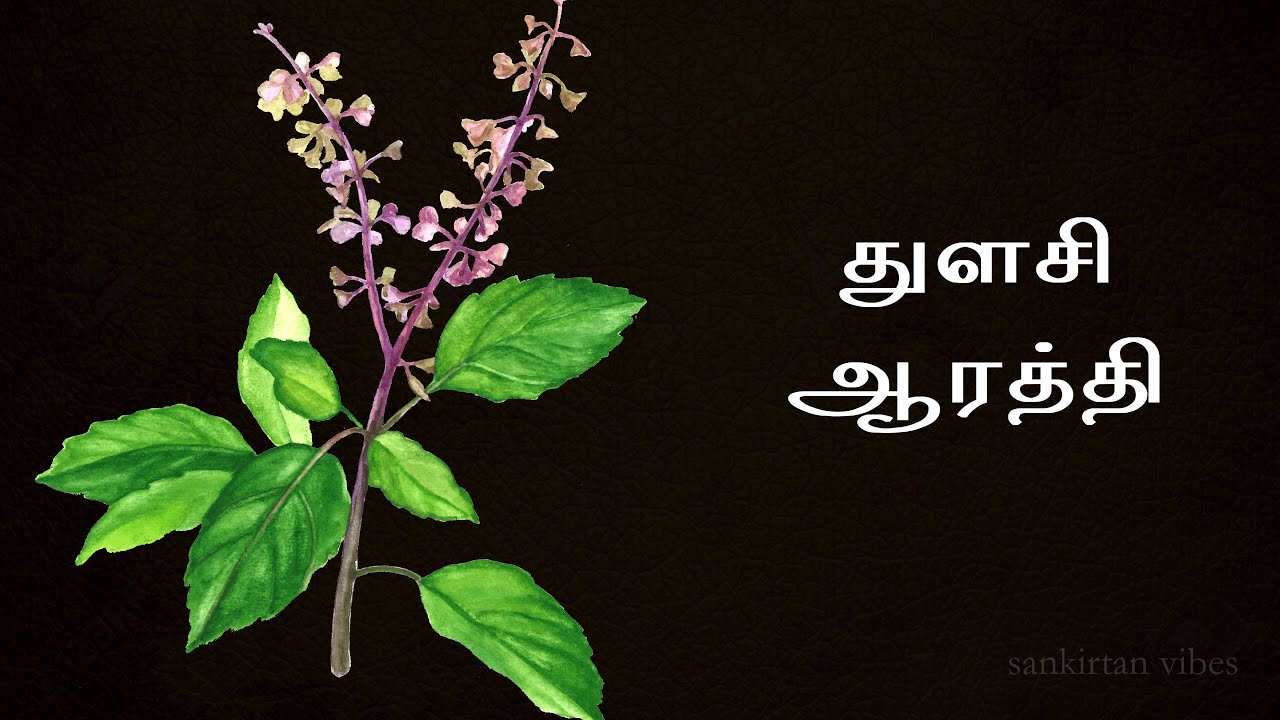 TULASI AARTI with Tamil Lyrics and Meaning - துளசி ஆரத்தி