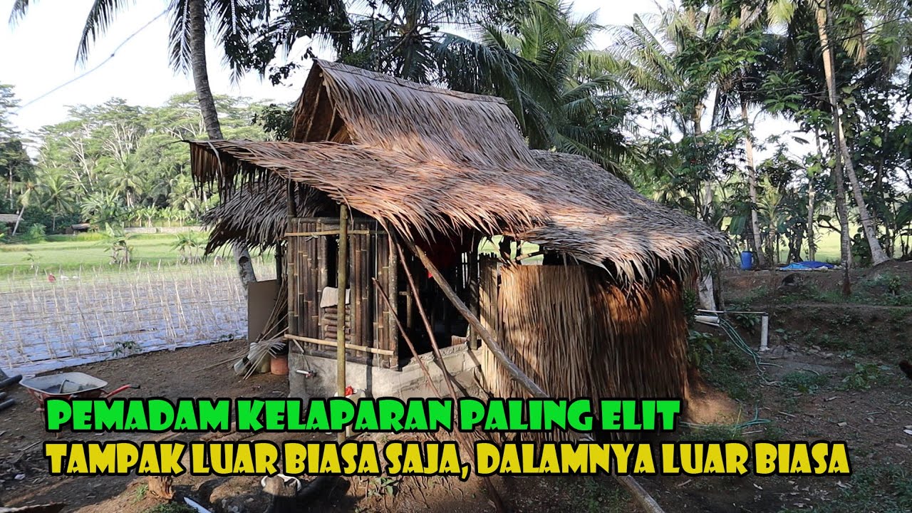 Pemadam Kelaparan Di Saung Sawah Paling Elit. Ada Wi-Fi Juga..Rumah Biasa Mah Kalah Jauh.