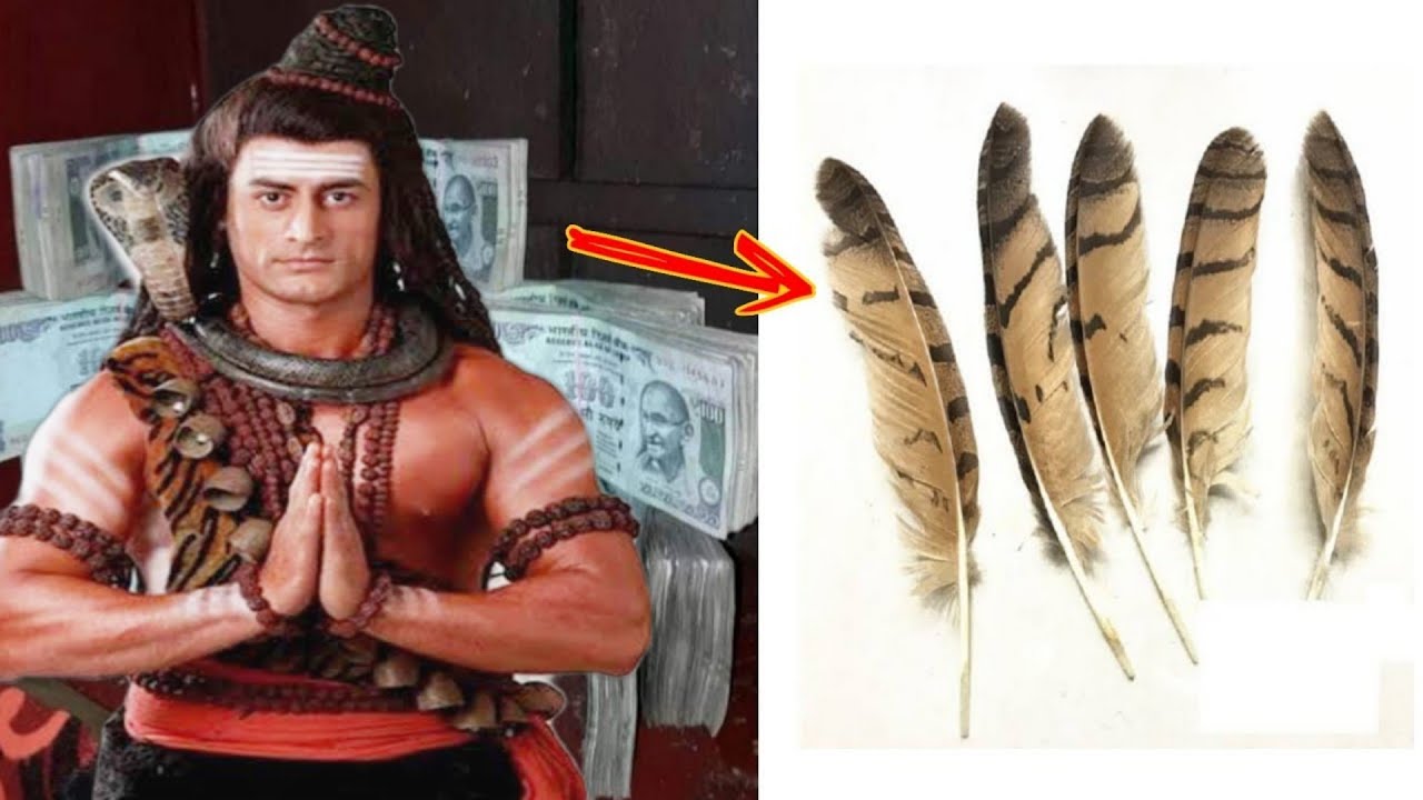 ये पंख जिसके पास में होता है धन की बारिश कर देती है ? 😱 झूठ नही 101% गारेंटी सत्य जानकारी