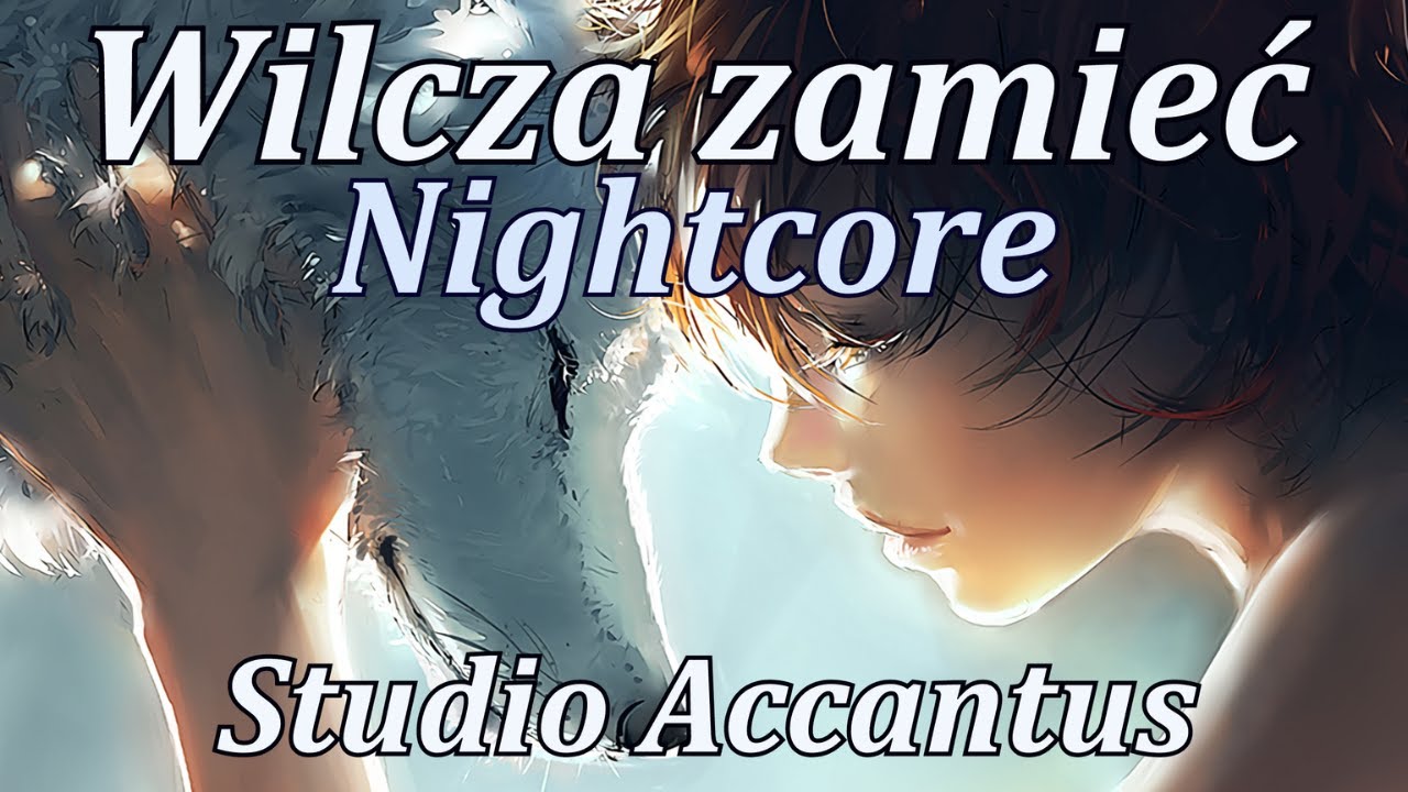 Nightcore - Wilcza zamieć - Studio Accantus