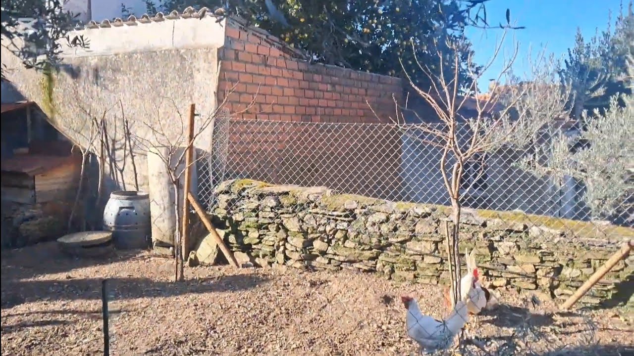 !!A LIMPIAR EL GALLINERO..!! Maestro  del monte