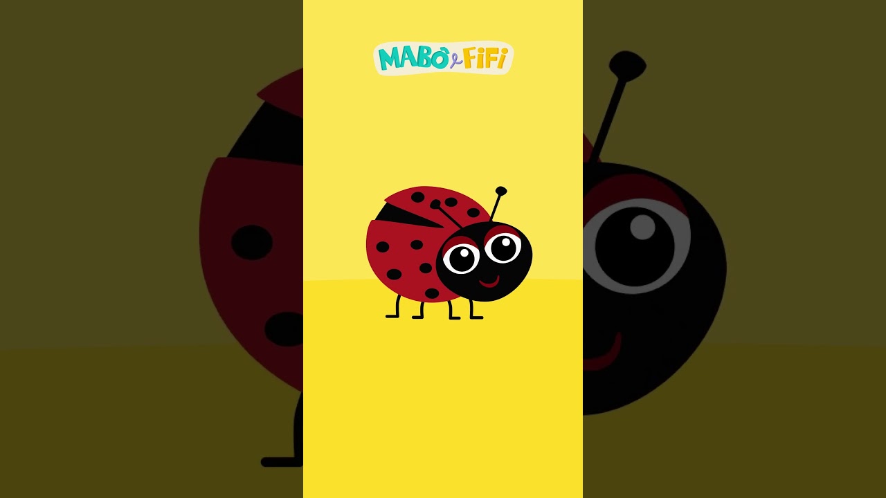 JOANINHA | Série Formas  @maboefifi   