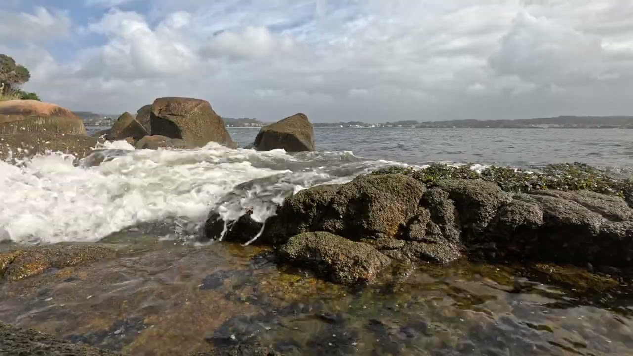 Relajantes Sonidos de Mar: Olas Rompiendo en la Costa 🌴 Sonido de la Naturaleza