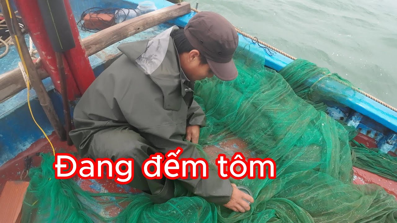 [214] Tôm Hôm Nay Không Chạy Nhưng Bạn Mình Kiếm Gạo Được