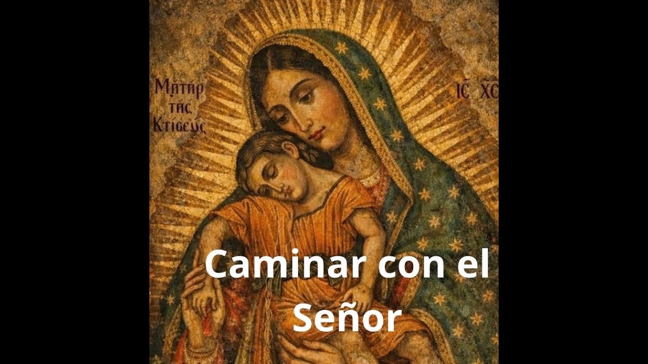 Caminar con el señor , Miqueas 6, 8