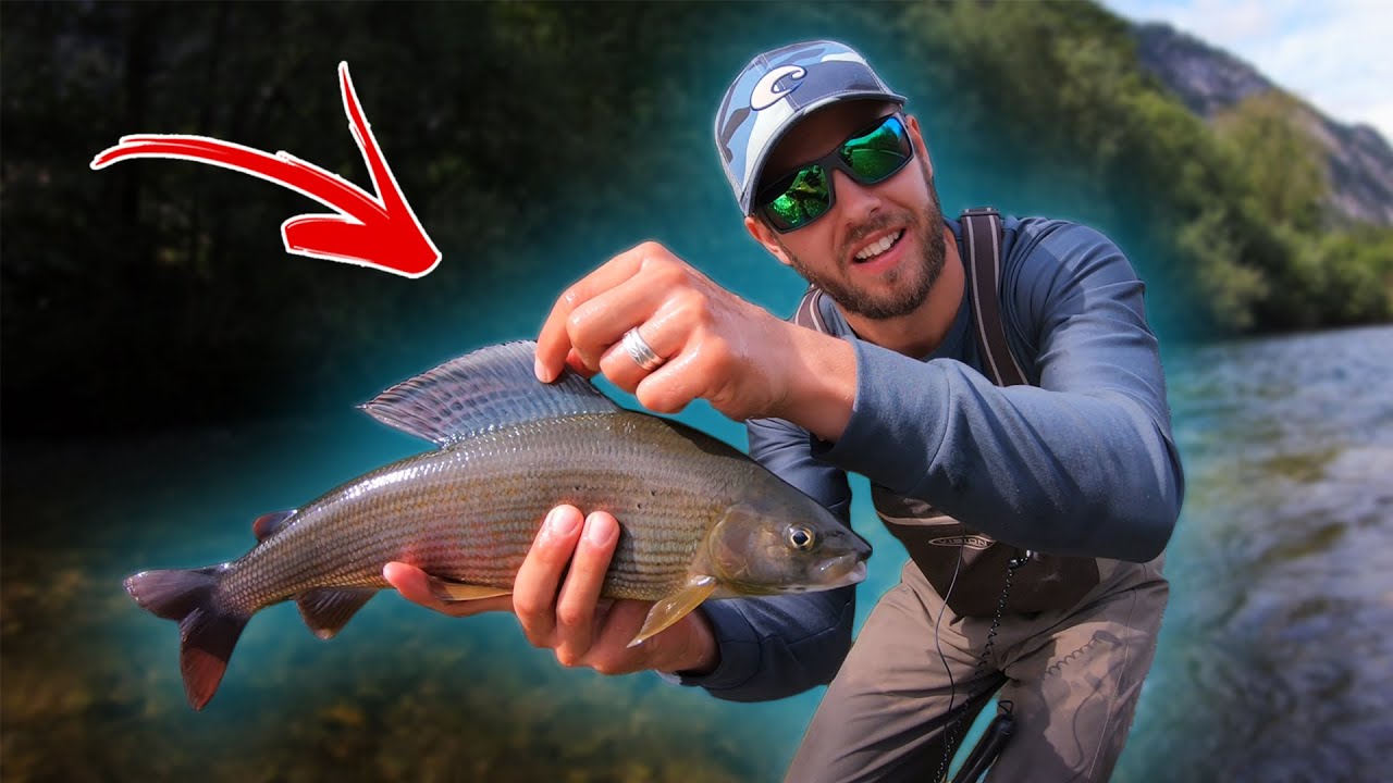 Trying NYMPH FLY FISHING for the first time 🎣 (Euro Nymphing)