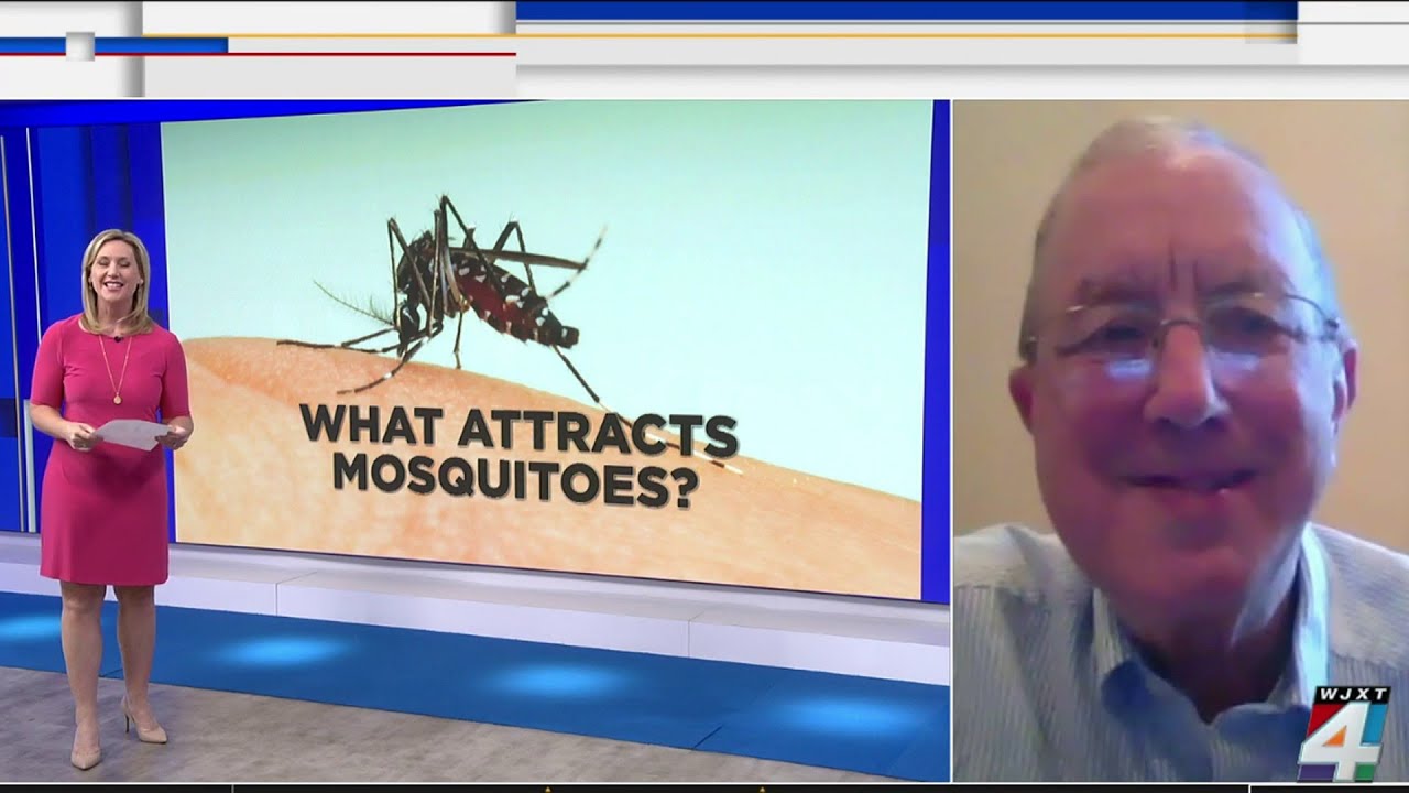 What attracts mosquitoes? The answers might surprise you