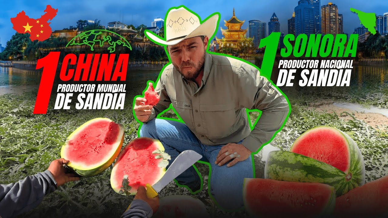 China, es líder en producción de sandía en todo el mundo, Sonora en nuestra República Mexicana