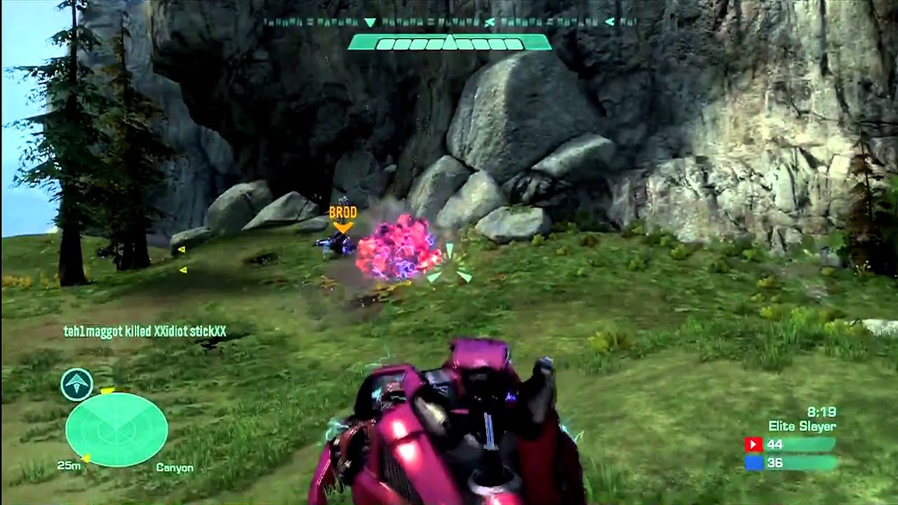 Halo:  Revenant Perfection