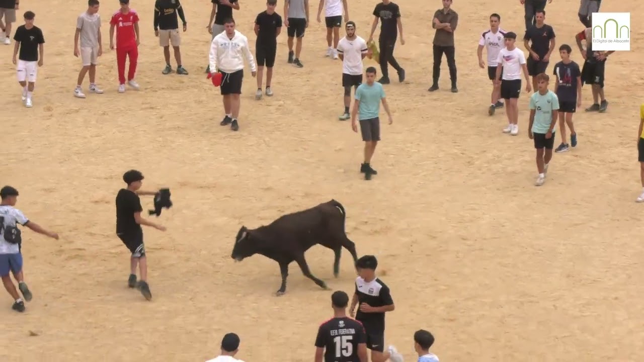 Vaquillas Feria de Albacete 2025, 8 de septiembre