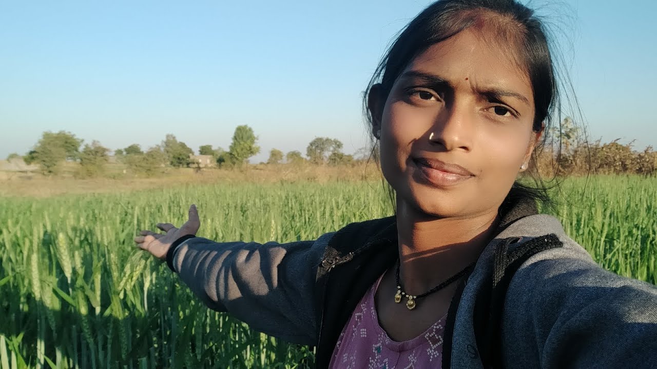 गावाला जाऊन काय केलं🥰😍#daily vlog#vlog#vairal#shetivlog #गहू #trending#mrathivloger 