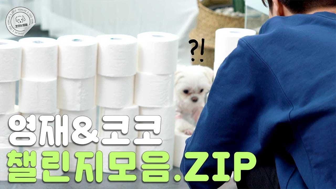 [ENG]#5. 갓세븐 영재&코코 SNS 핫한 강아지 챌린지✨ | SNS Dog Challenge 🧻🧻🧻
