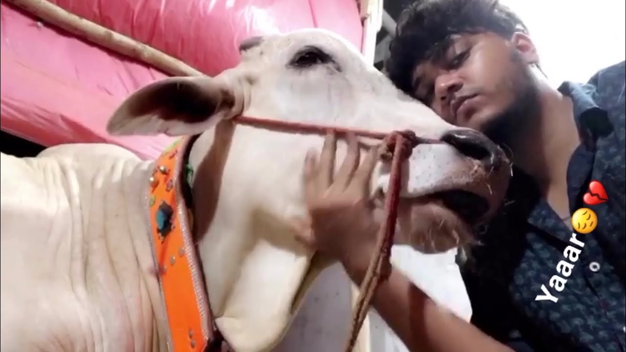 THE END | EID MUBARAK :)