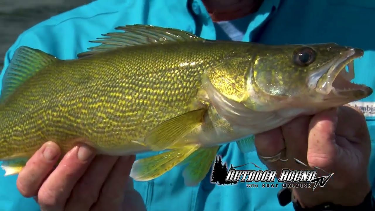 Mid Summer Walleye Techniques from Devils Lake, North Dakota