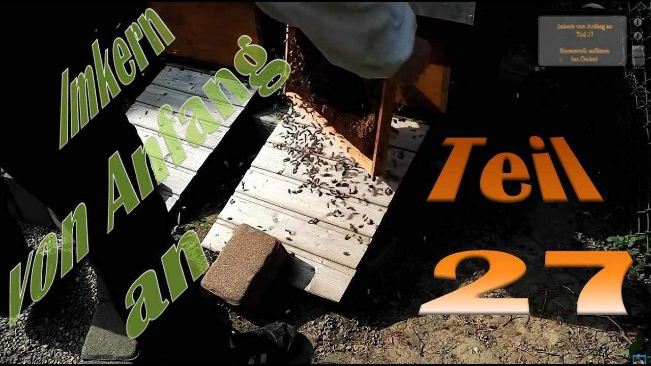 Imkern von Anfang an - Teil 27 - Bienenvolk auflösen bei Dadant