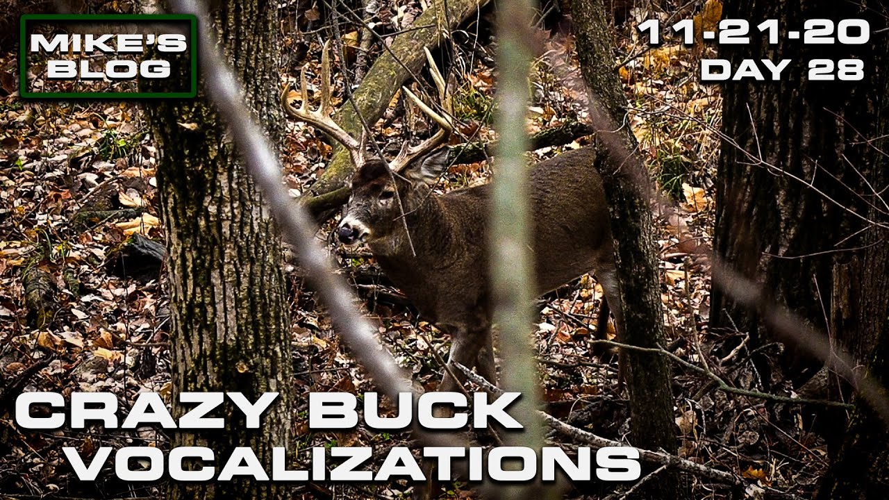 Mike's Blog | Crazy Vocalization, Deep Guttural Grunts