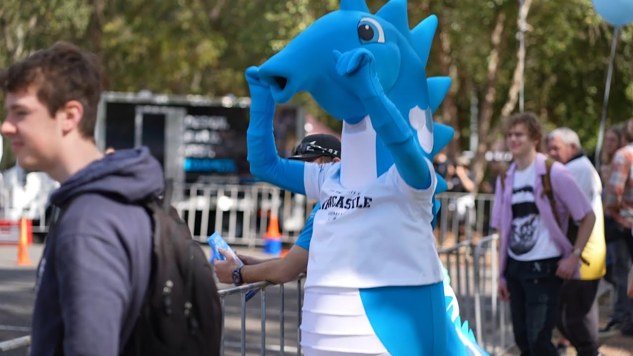 What's On at Open Day 2024