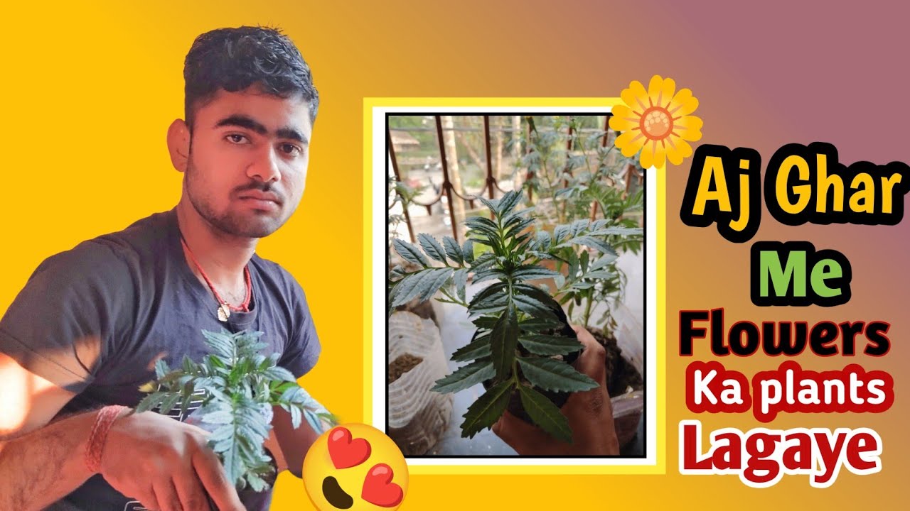 Aj Ghar Me Lgaye Flowers | #vlog @sumitsahvlogs287 | 