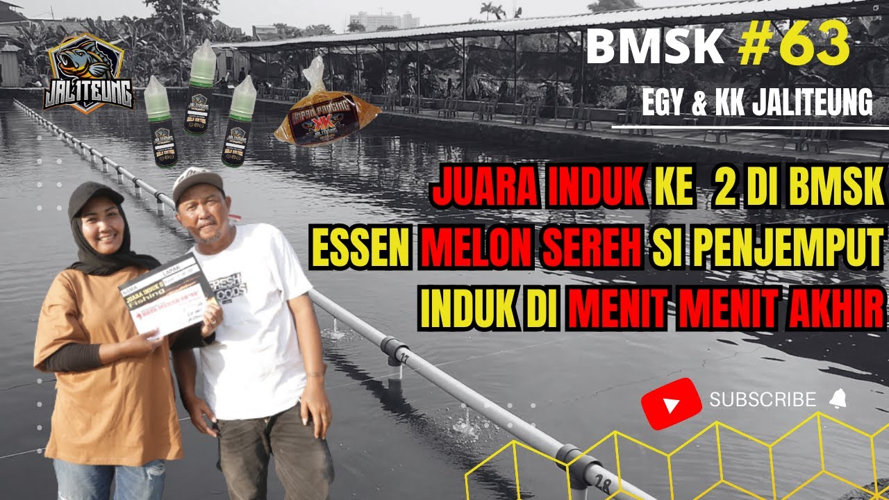 UDAH LAMA MANCING GAK PAKAI ESSEN MELON SEREH. LANGSUNG KASIH JUARA INDUKAN DI BMSK ! NENEIN BANGET.