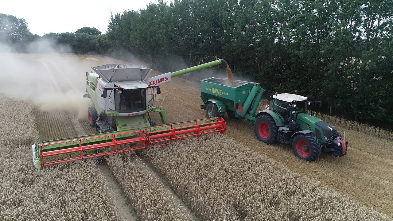 Weizen Ernte an der Ostsee / 2x Lexion 770TT / Gut Schmoel