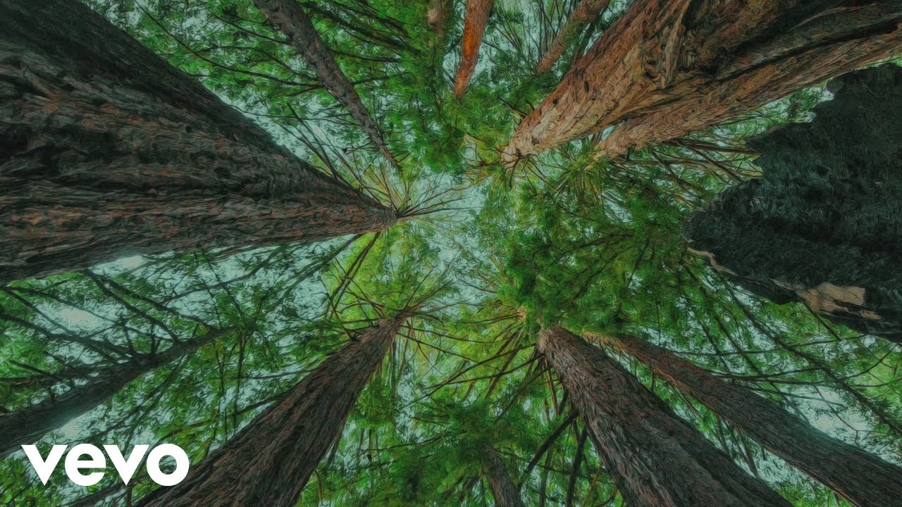 slenderbodies - moods (Official Audio)