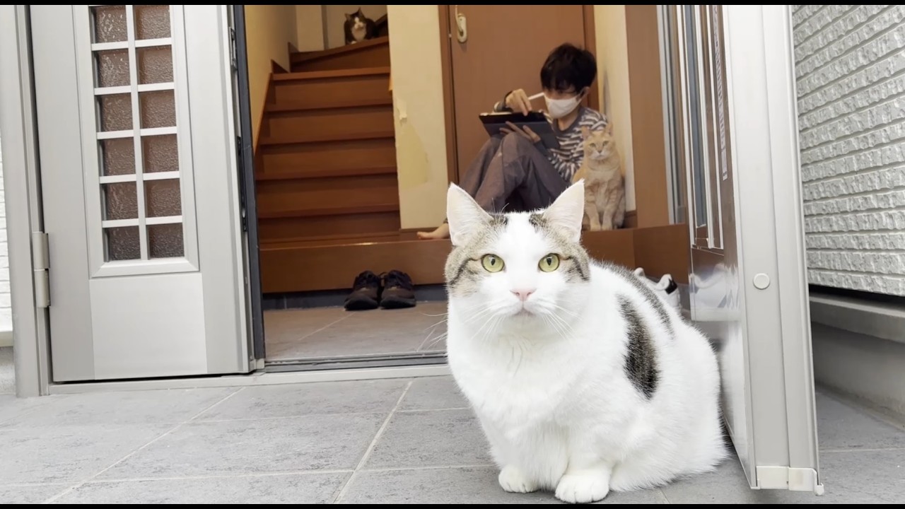 気が付けば息子の横で座ってる猫