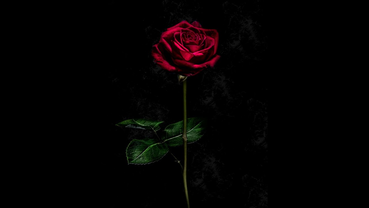 Dobranocka 😻💚💛❤️😻 Od Krzysztofa 