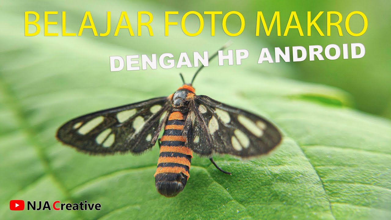 cara foto makro dengan hp