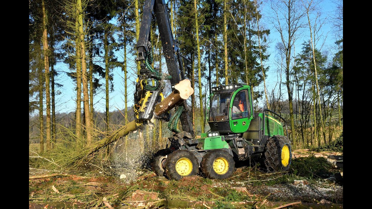 Vaux Chabois a l'abattage et débardage de sapins