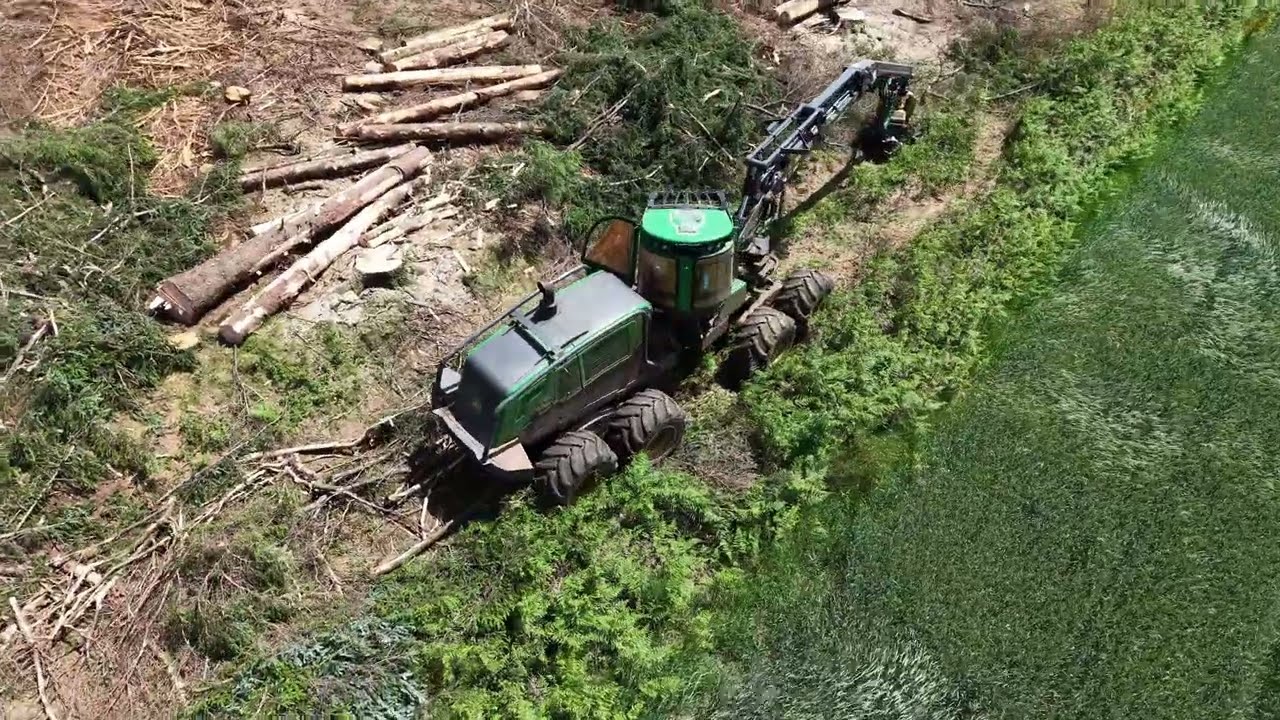 Abatteuse Foresti&egrave;re
