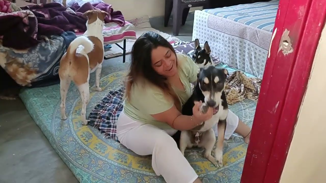 Subha ki  masti 😂 ka mast mast vlog 🏡❤️🌺🐕🍜🦚❤️❤️❤️🌺🧼🧹🪣💃🏻